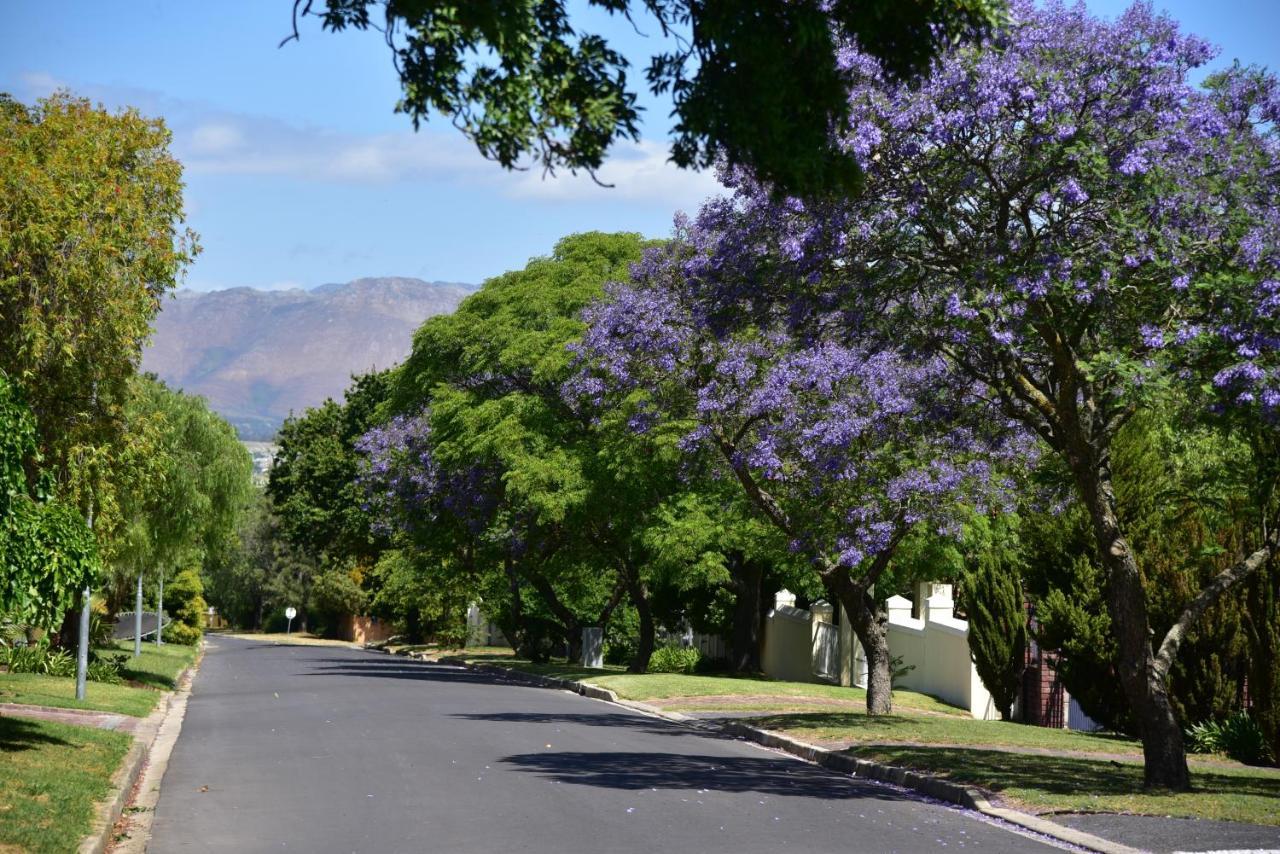 Yebo Boutique Guesthouse Somerset West Exterior foto